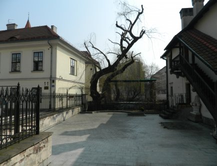 Kolorowa fotografia przedstawiająca budynek Domu Pod Krzyżem wraz z najbliższym otoczeniem.