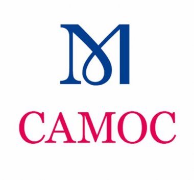 kolorowe logo CAMOCu